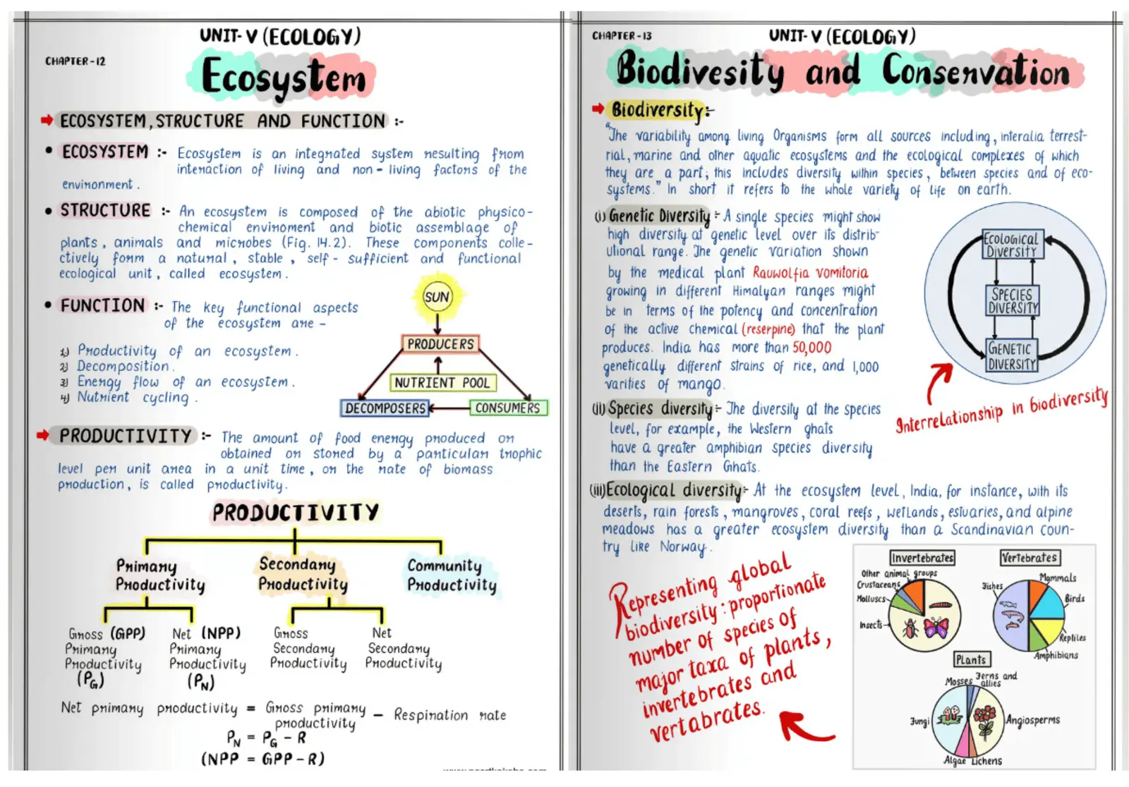 Premium Notes Page 2